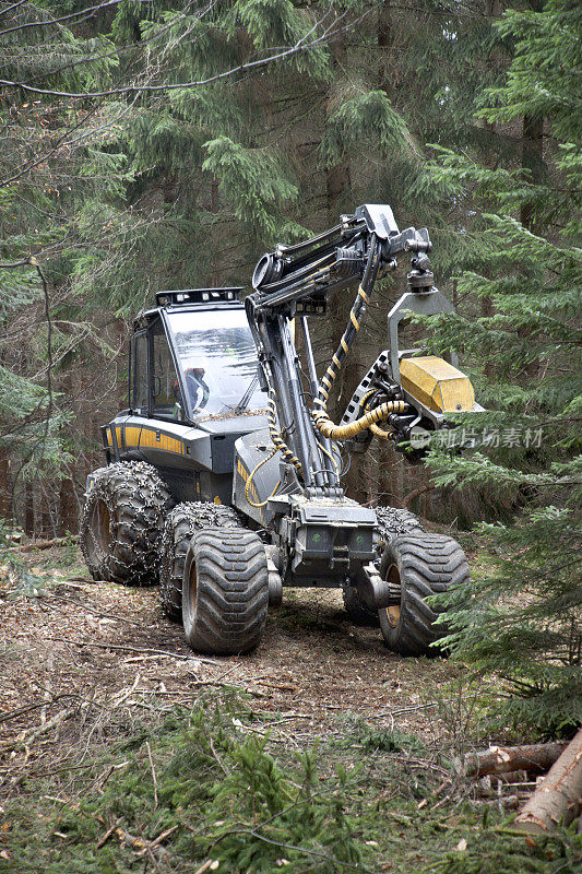 森林里的Feller buncher